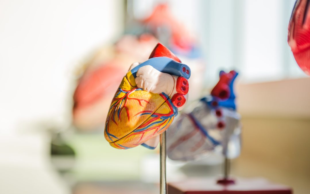 5 Ways to Improve Cardiovascular Health