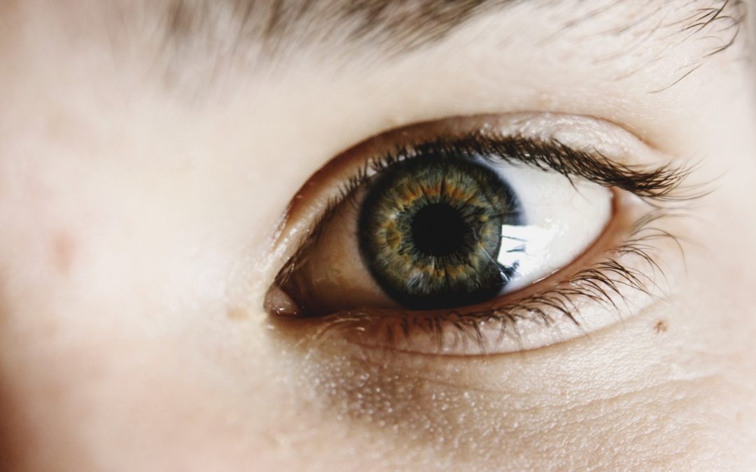 Best Foods and Vitamins for Eye Health